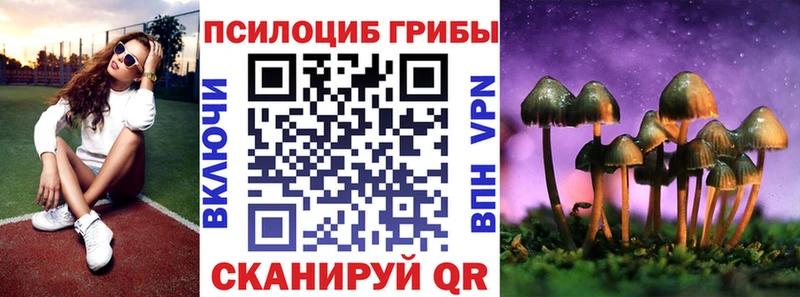 продажа наркотиков  Гурьевск  Галлюциногенные грибы мицелий 